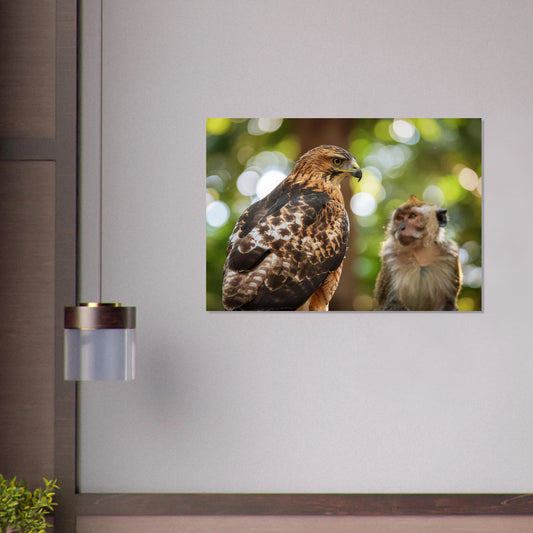 A dramatic and detailed realistic picture of a Red Tail Hawk perched high, observing a monkey in front of it within a forest setting.