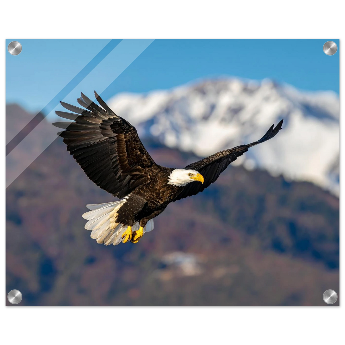 002cb386-197f-4cc4-8e58-f215b97c3766