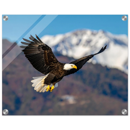 002cb386-197f-4cc4-8e58-f215b97c3766