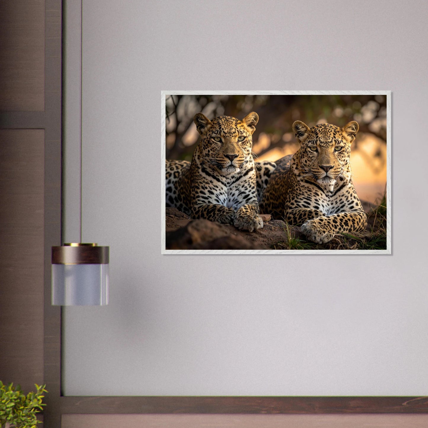 005a29d9-39e6-41fd-af0c-2e08e446221a