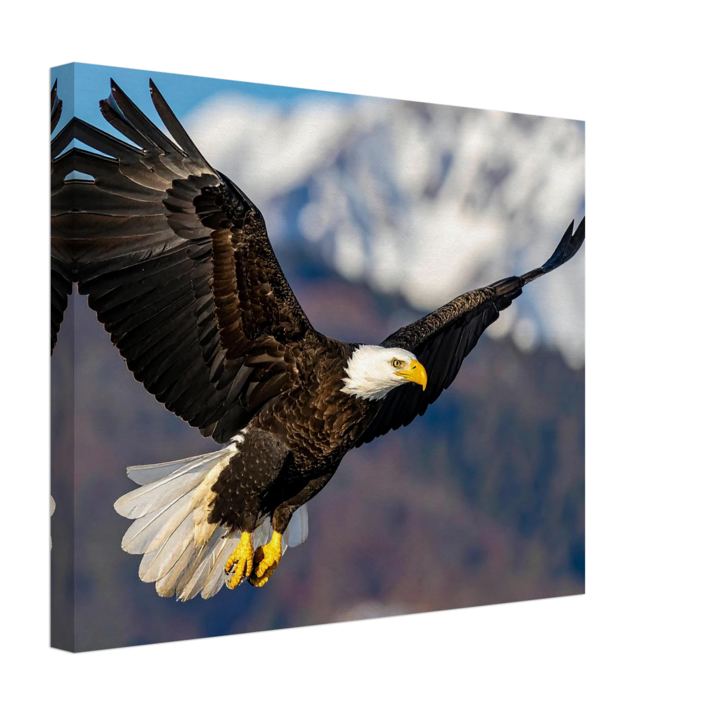 059408ab-66f3-4453-8577-184d2900ec19