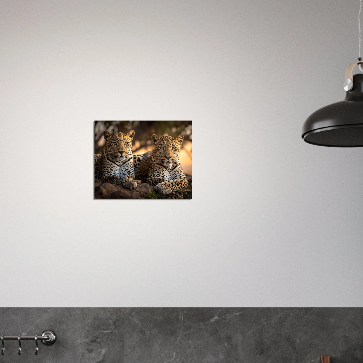 05b2636b-e83a-4a99-809a-8f1ff97b41ad