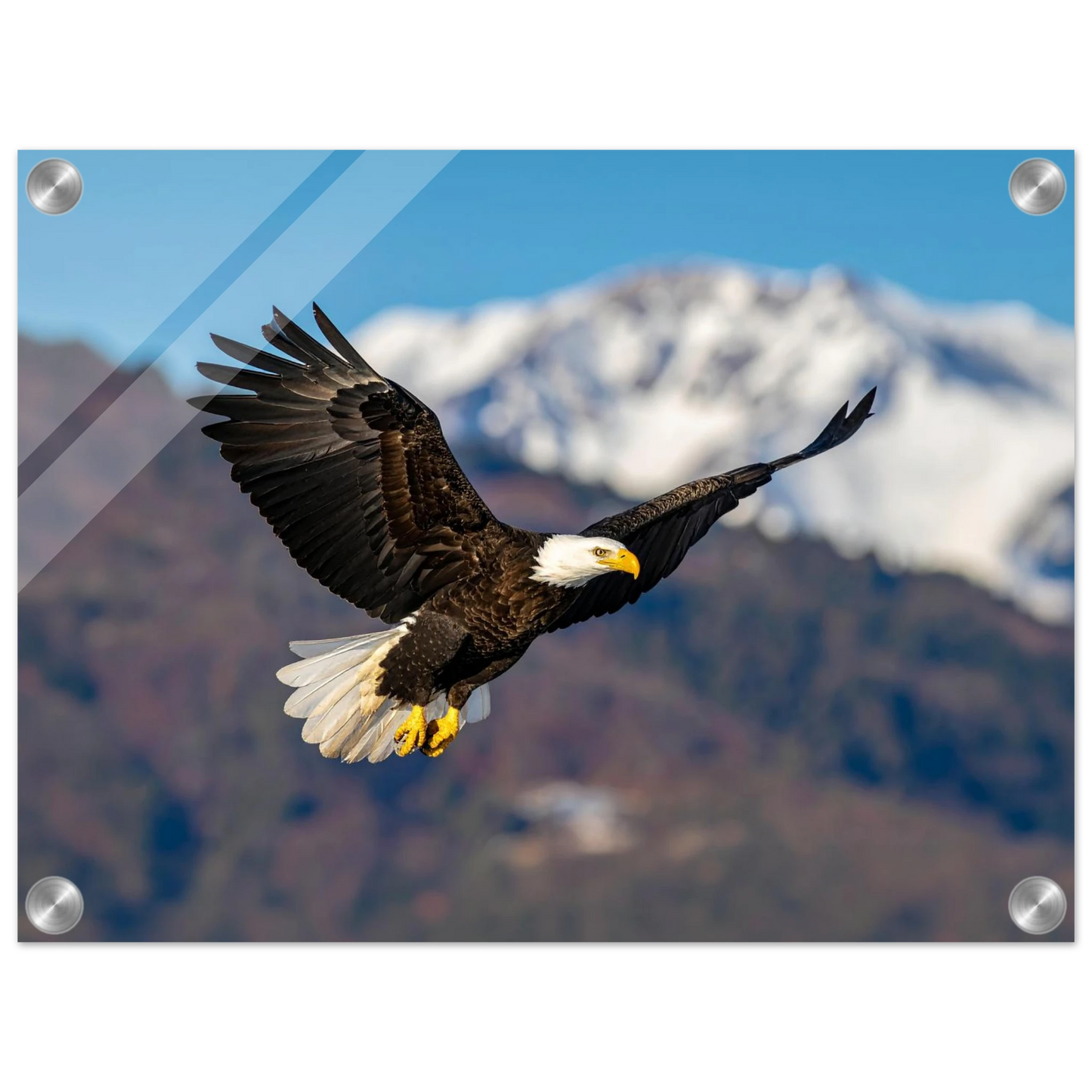0637886b-9f47-45fa-9f0c-fc8c06e0461c