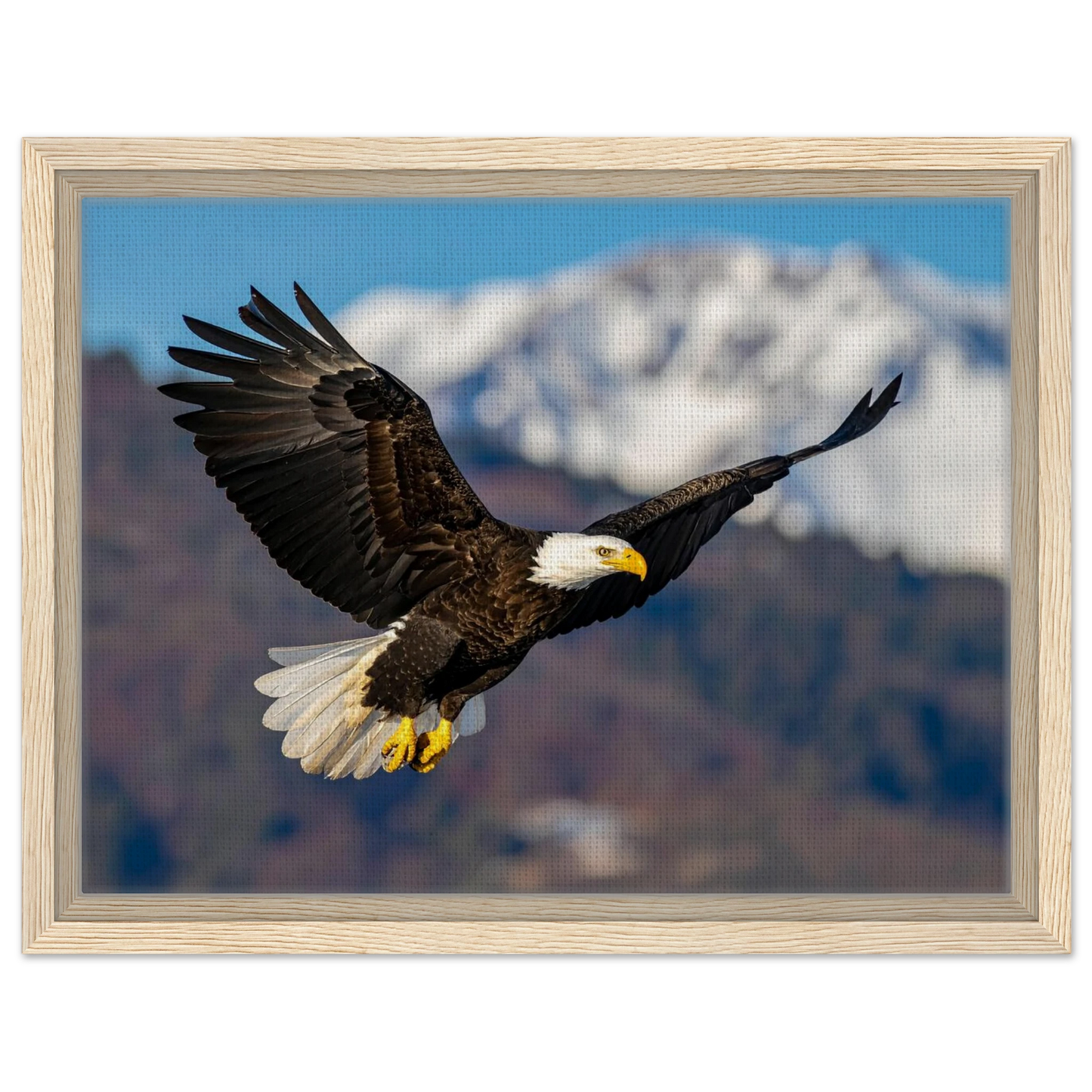 0743c68f-9ad5-4cbb-99c6-3112195ec34d