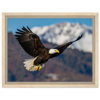 0743c68f-9ad5-4cbb-99c6-3112195ec34d