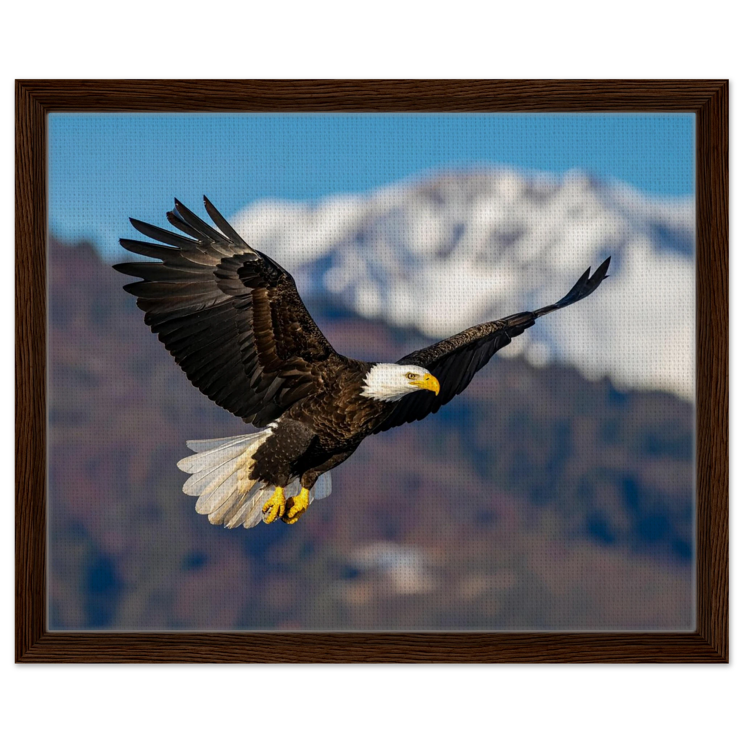 074e273e-cdf2-4f94-a750-09206427c107