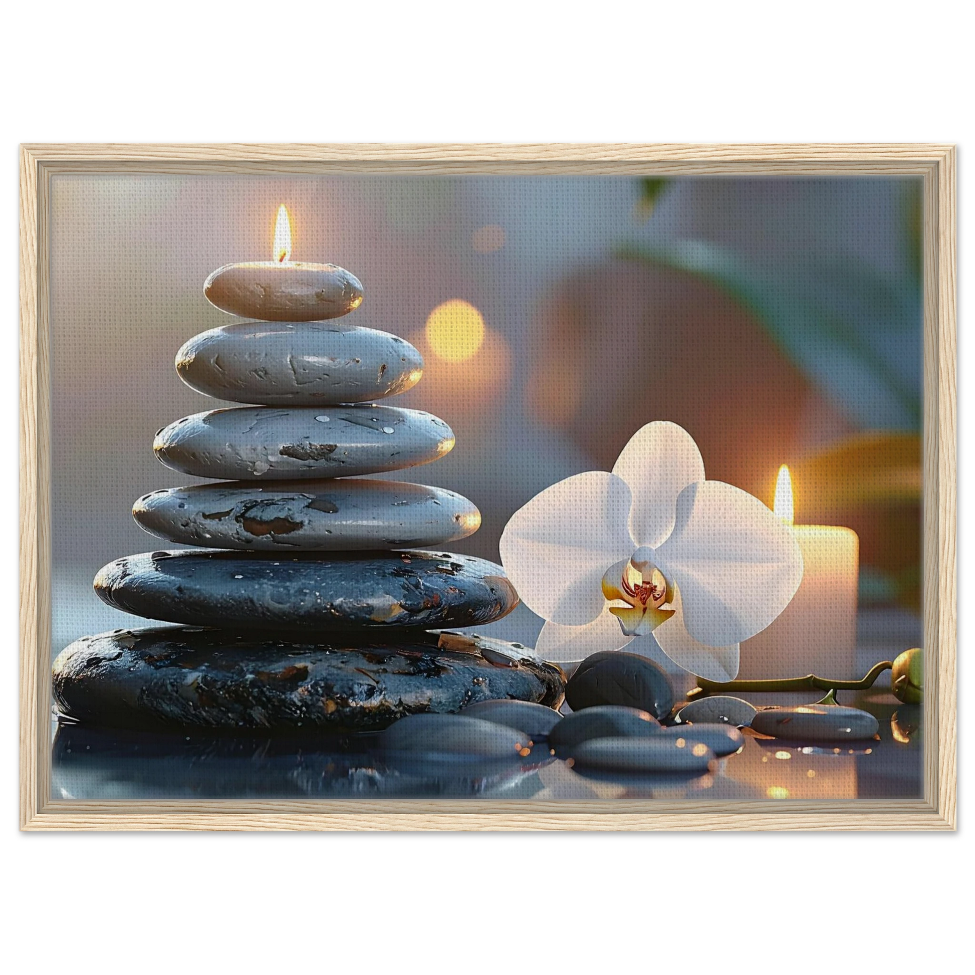 07c10523-be29-42cc-828c-23b294567559