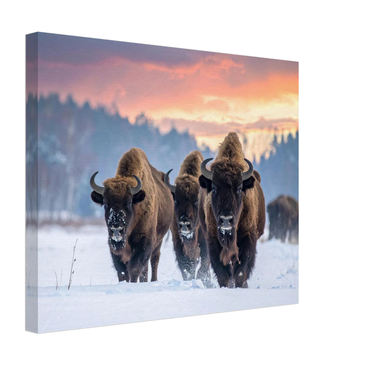 0adb3c7c-6d0c-457c-ba6f-b5b11407c320