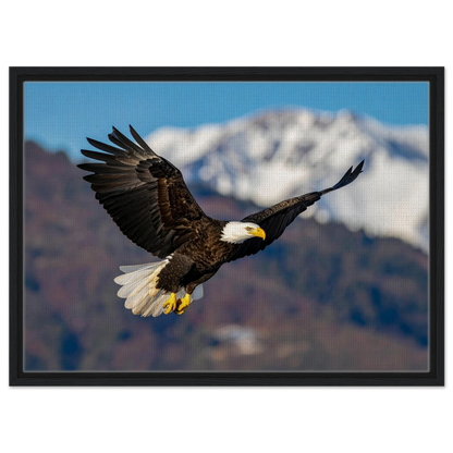 0b5debba-341c-4936-a84b-e06e47eb0a50