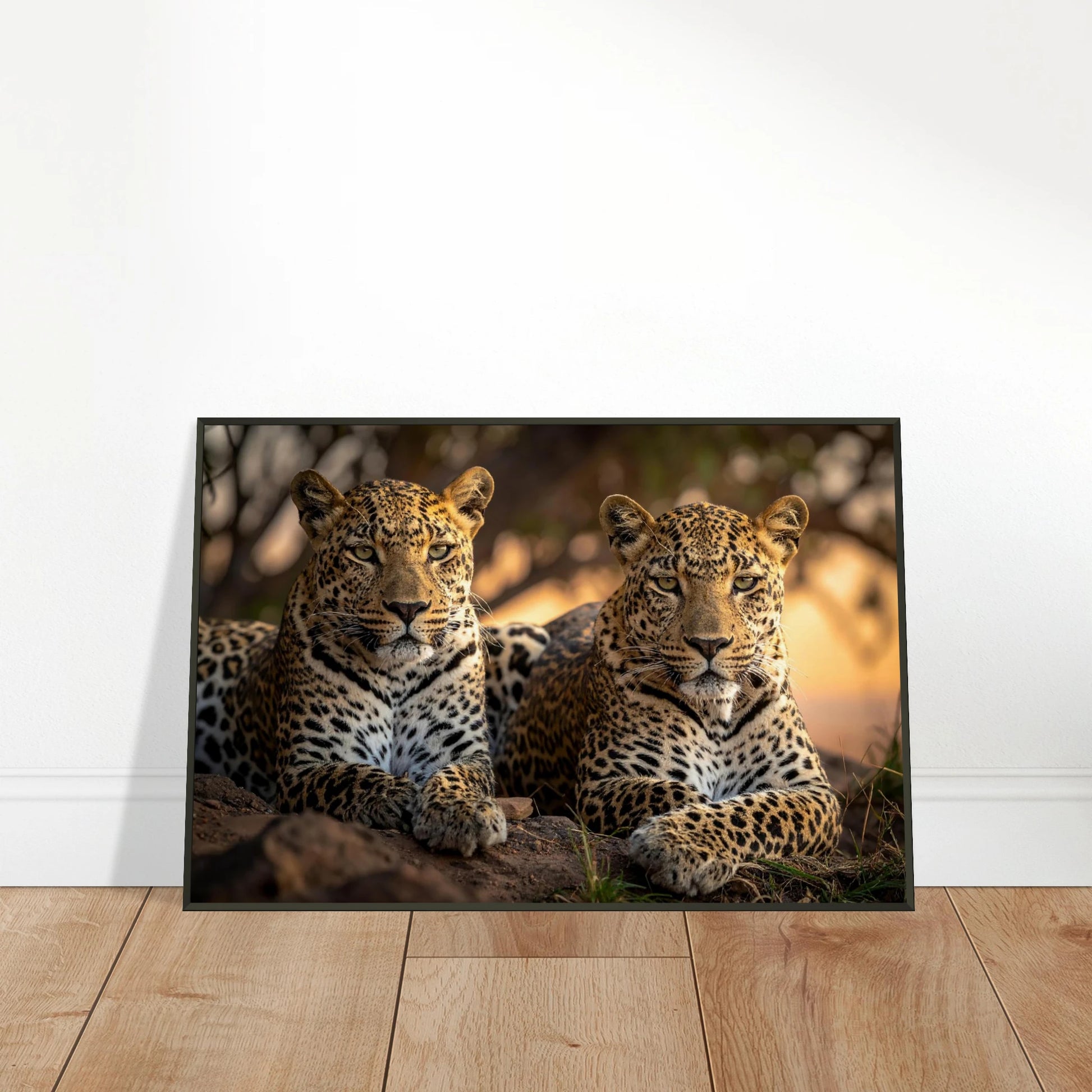 0c80aa5c-0d70-48ff-bb30-91ee1ea6856a