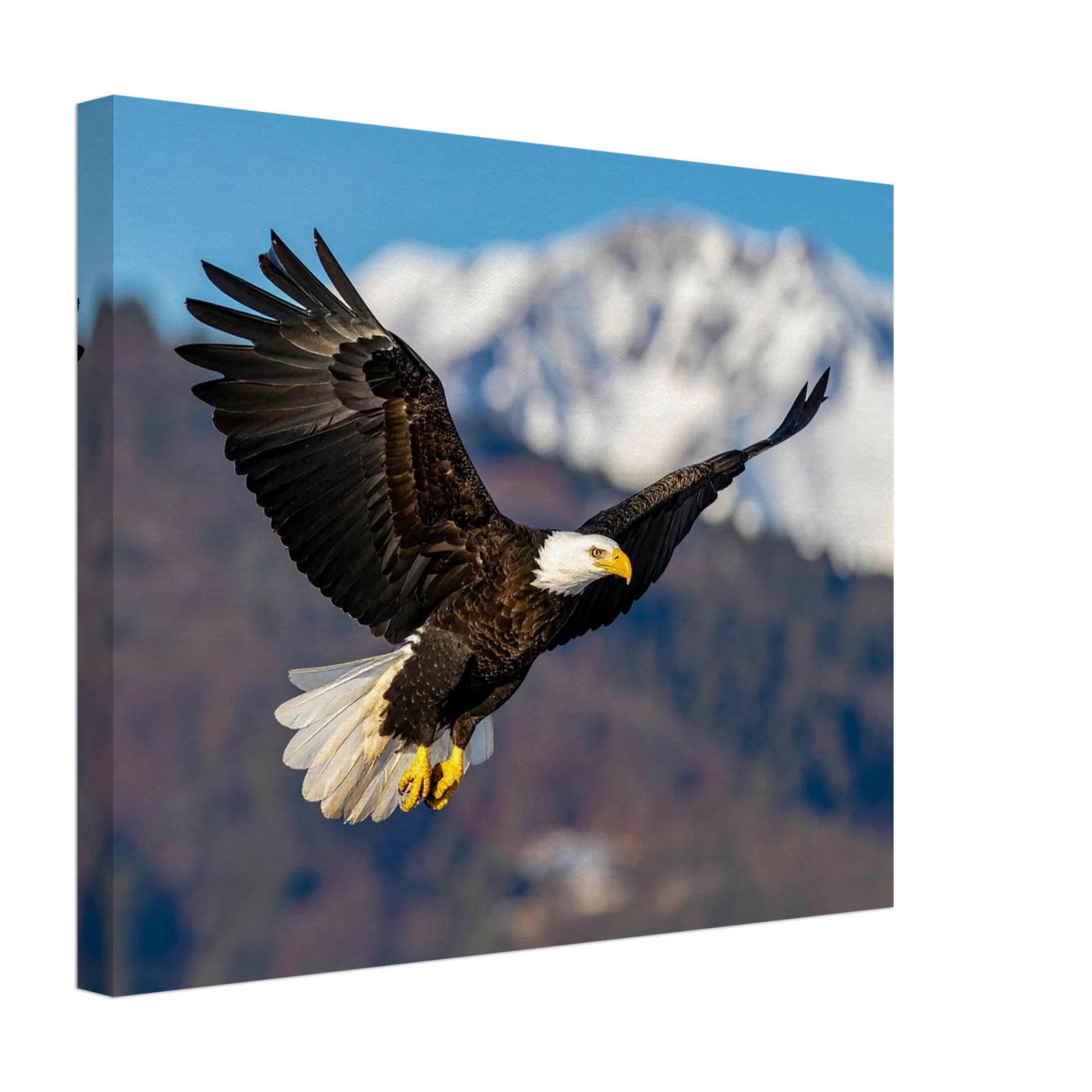 0f455322-424c-479f-b789-44dc10dbb328