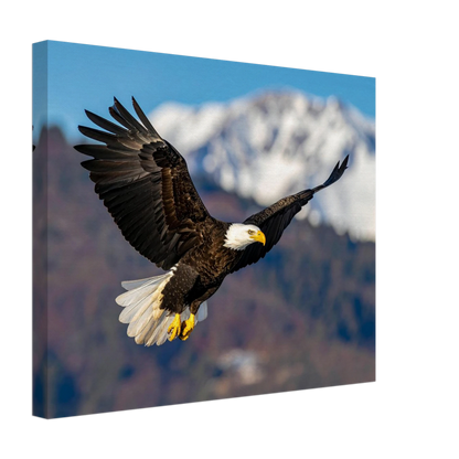 0f455322-424c-479f-b789-44dc10dbb328