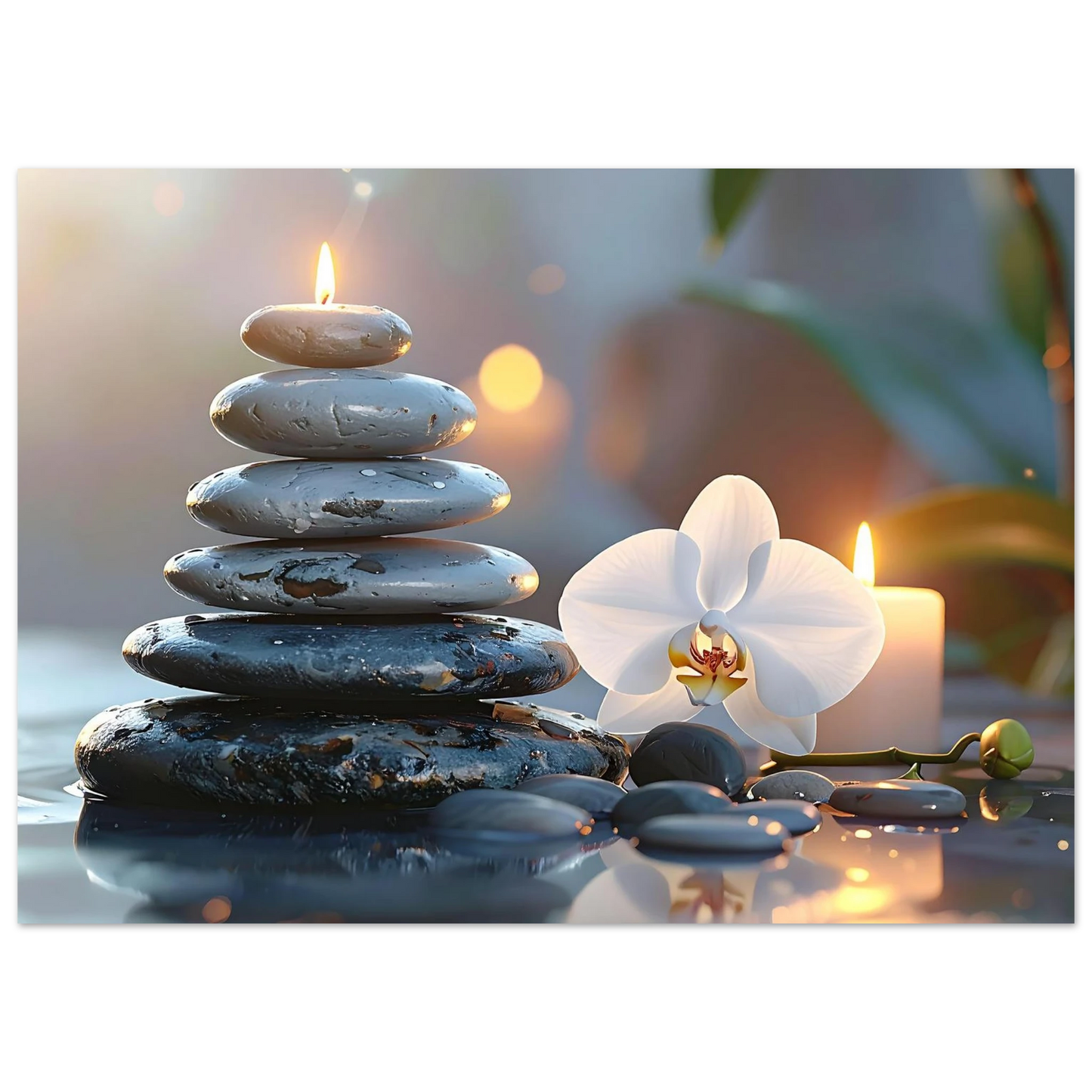 10851d44-fed6-4fb7-aff5-94c11e548fad