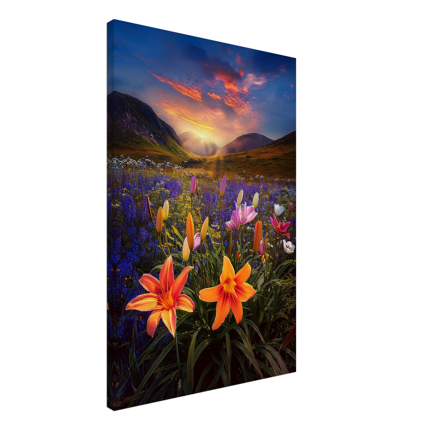 154a806f-9e92-49c2-9e14-2922ecc2cc2d