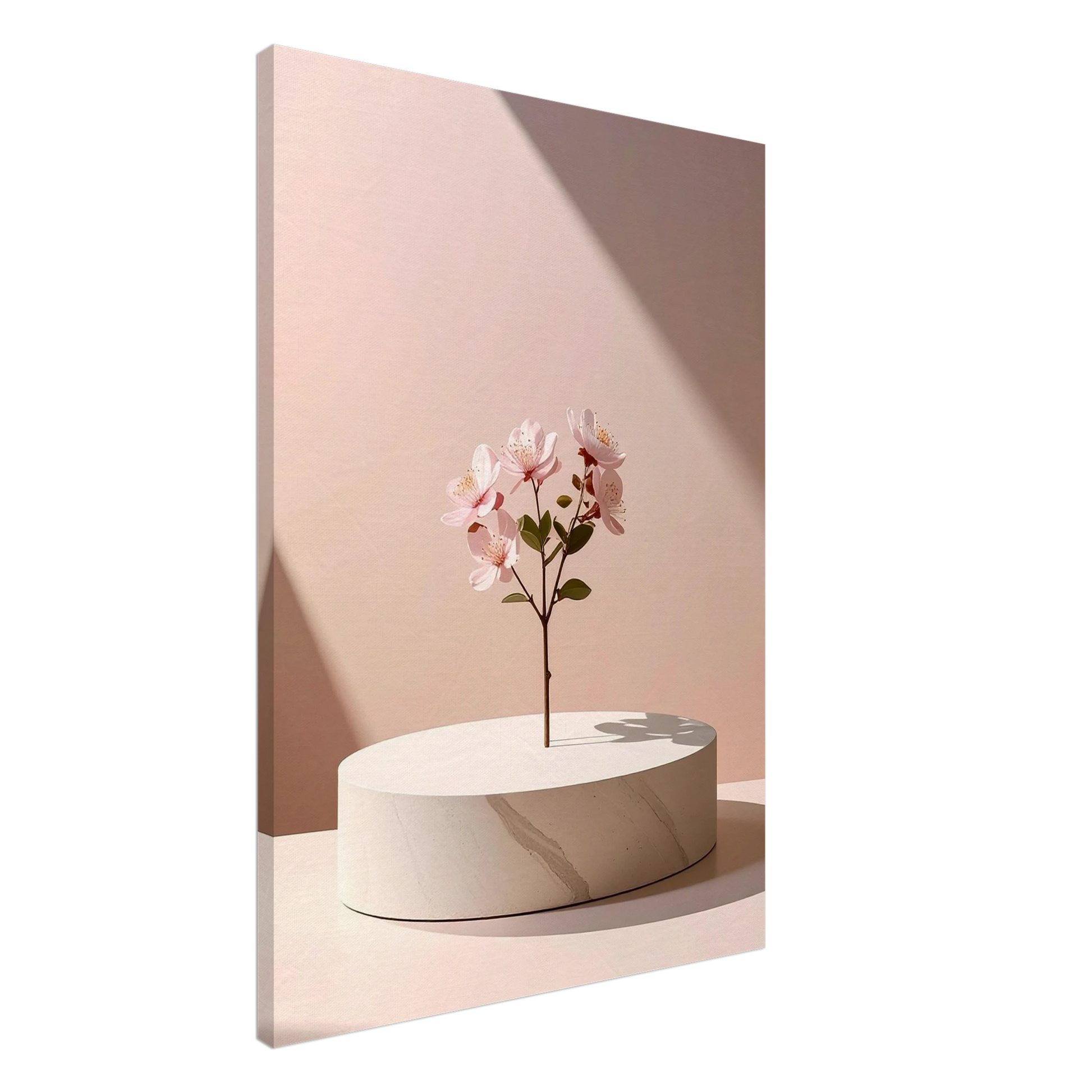 1c0dfc3e-43d6-42bd-850d-5bf354babdca