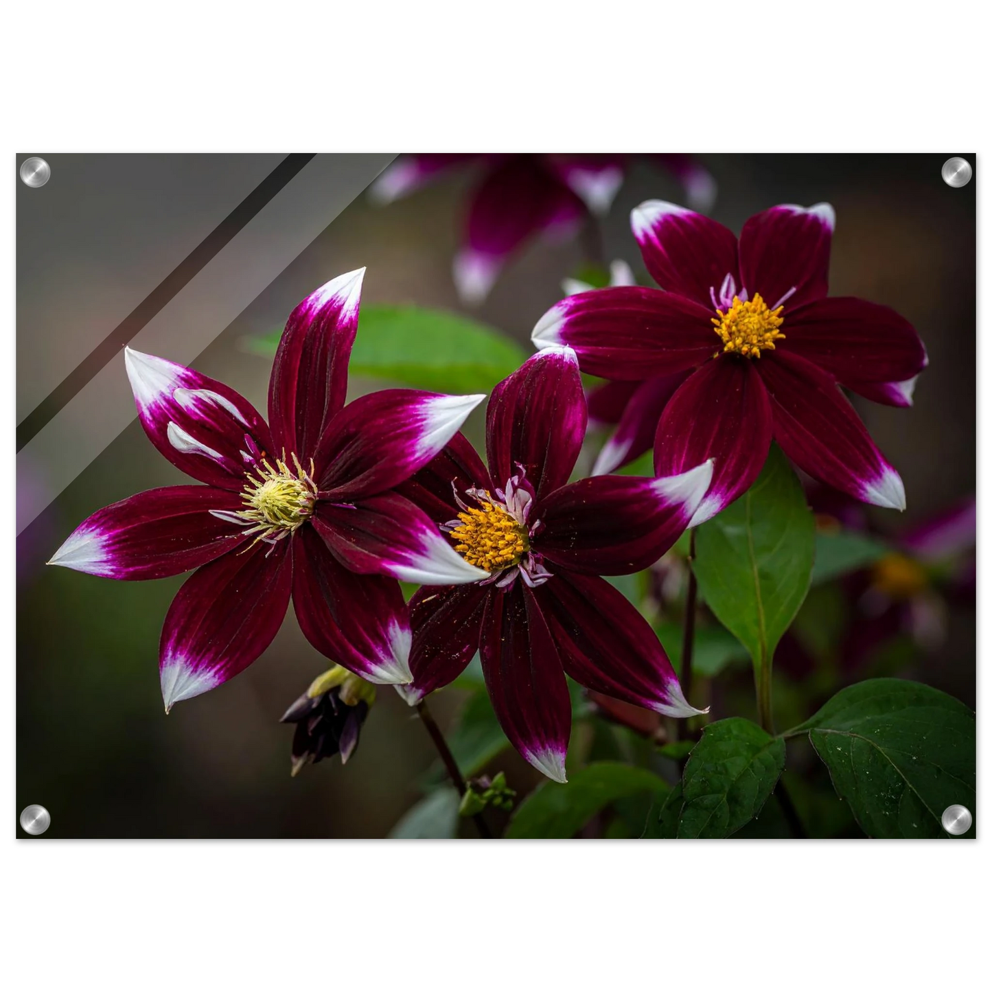 1cb1fed8-9570-48f4-af15-4ce7356c7715