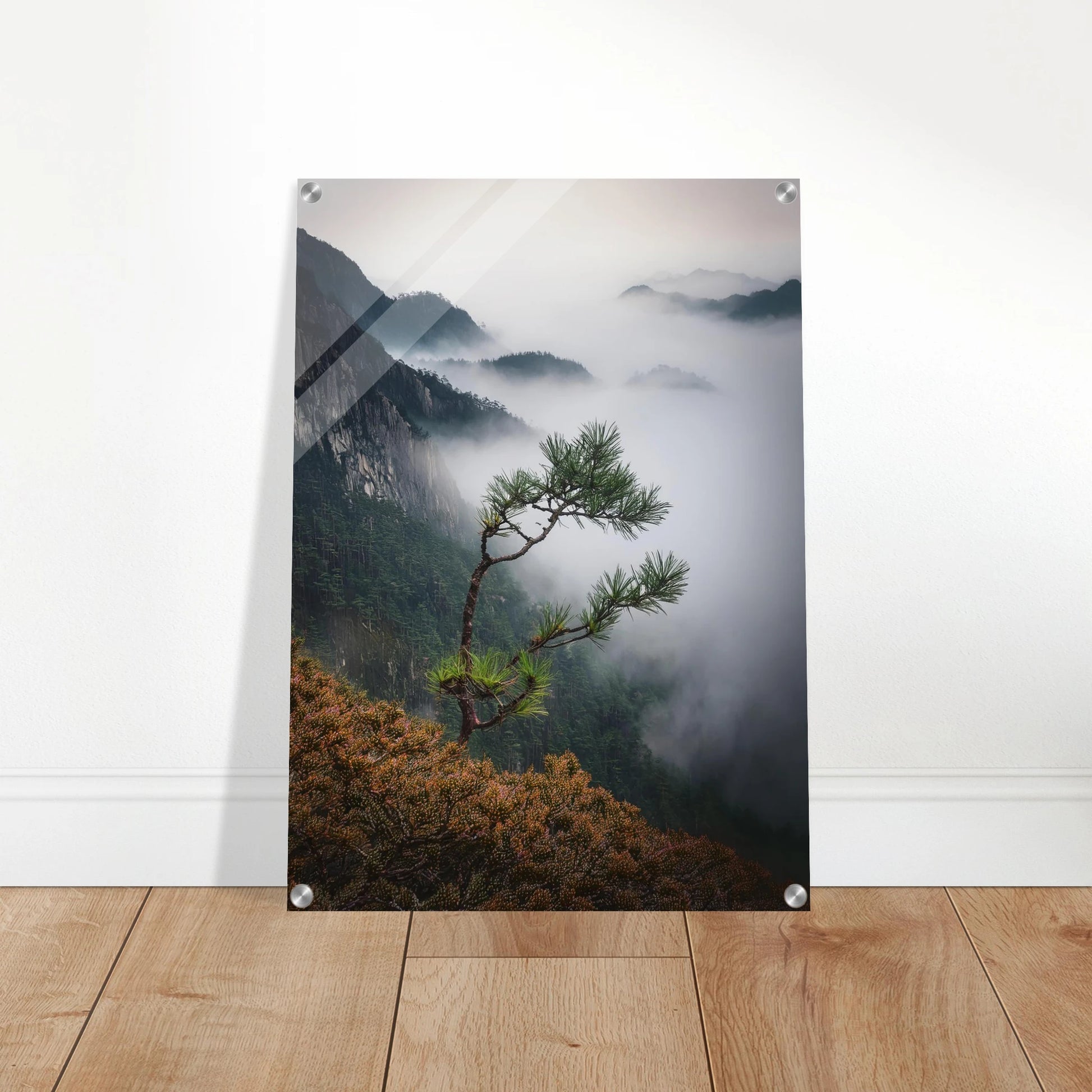 1fe5ecd2-5f81-4ee5-b483-886456dc959b