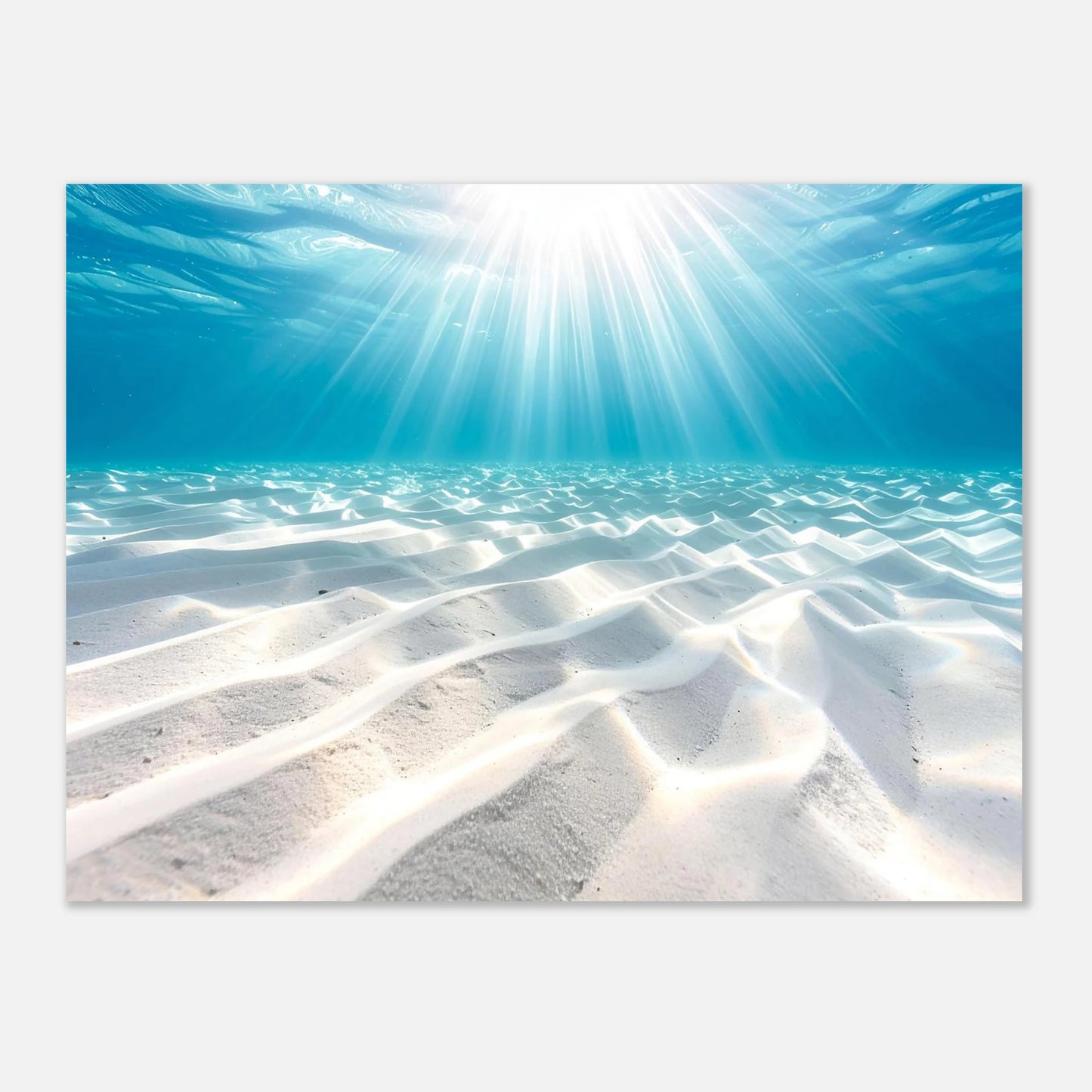 22ccacbd-425c-47a2-9874-2c9da9fa870e