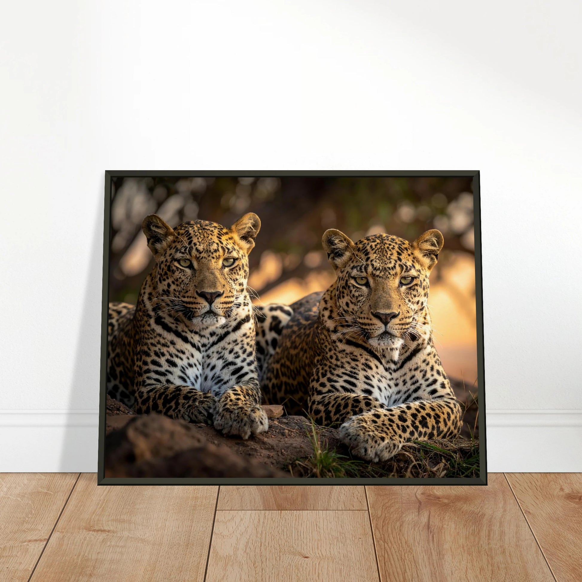 23bb5d42-ef61-41b8-acd7-68981bae0500