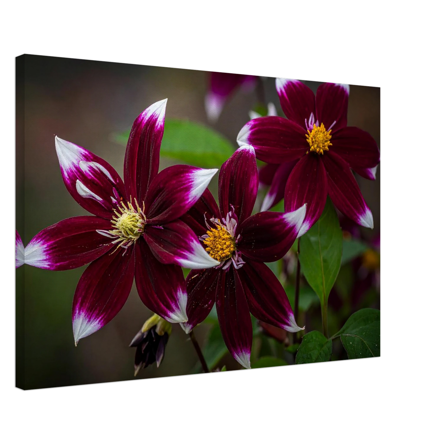 23dd1891-7953-4a7e-97f3-92758f9d059f