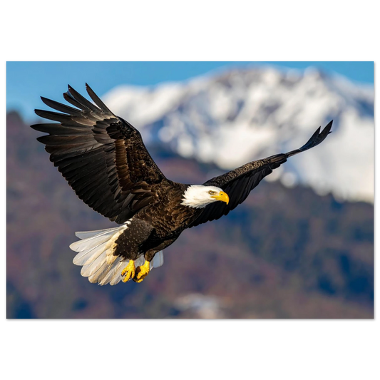 Wall Art- Bald Eagle in Flight Canvas Print - Stunning Wildlife Art for Home Decor