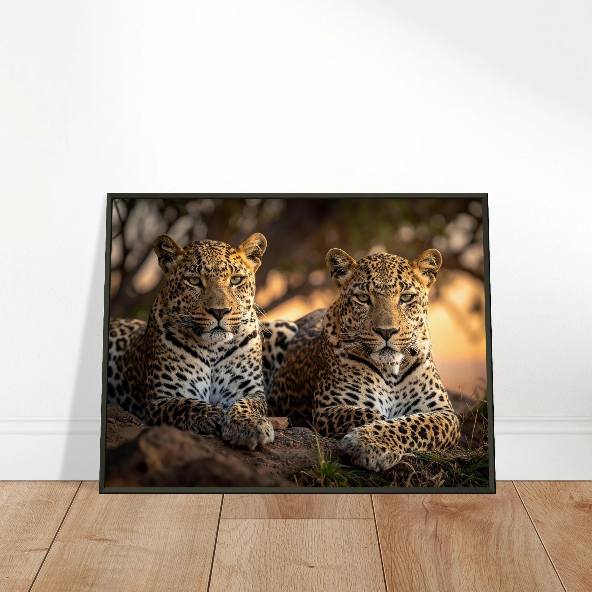 2a3801be-8405-49e6-a32d-293d24f44db3