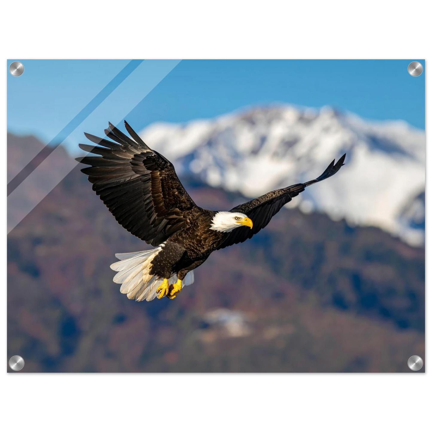 2a939c9d-71f2-4a83-b853-7fa6e1be9f12