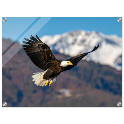 2a939c9d-71f2-4a83-b853-7fa6e1be9f12