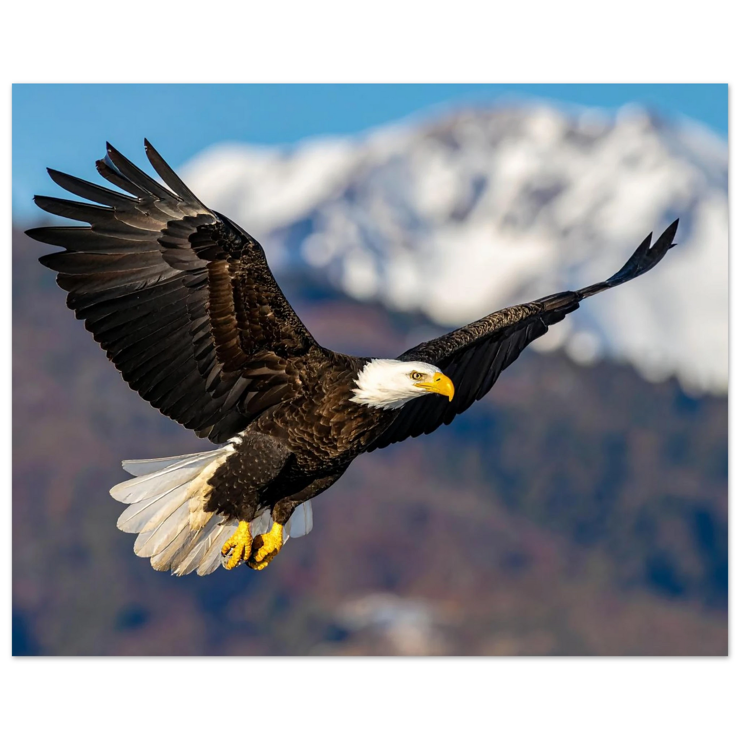 2cd67f04-d302-48fd-8f41-a1fd3ea94e2c