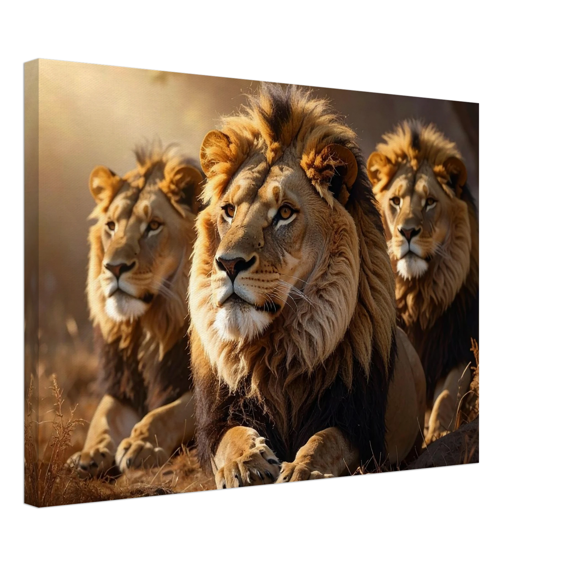 2d7f56be-4ad1-40ac-9c98-ca416bb6ed6e