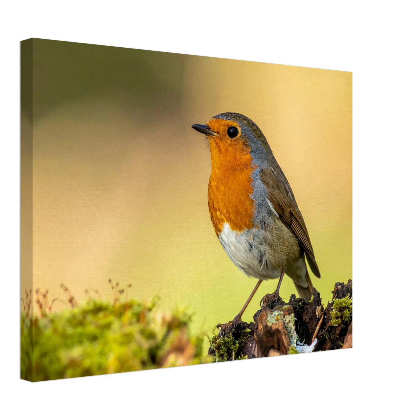 2f403a96-b5de-4331-87cf-8c53b2900c1b