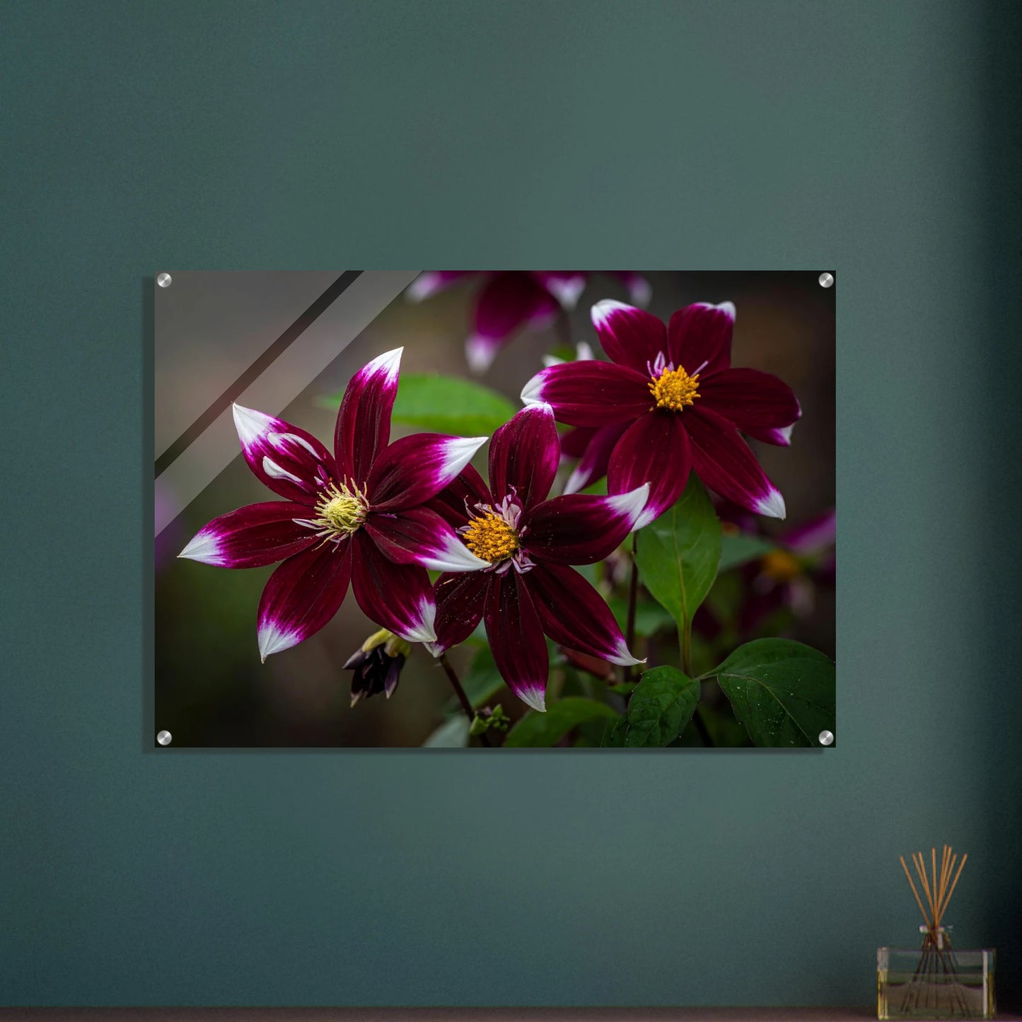 30026734-d993-4716-8dcf-2b0eb3f1e88f