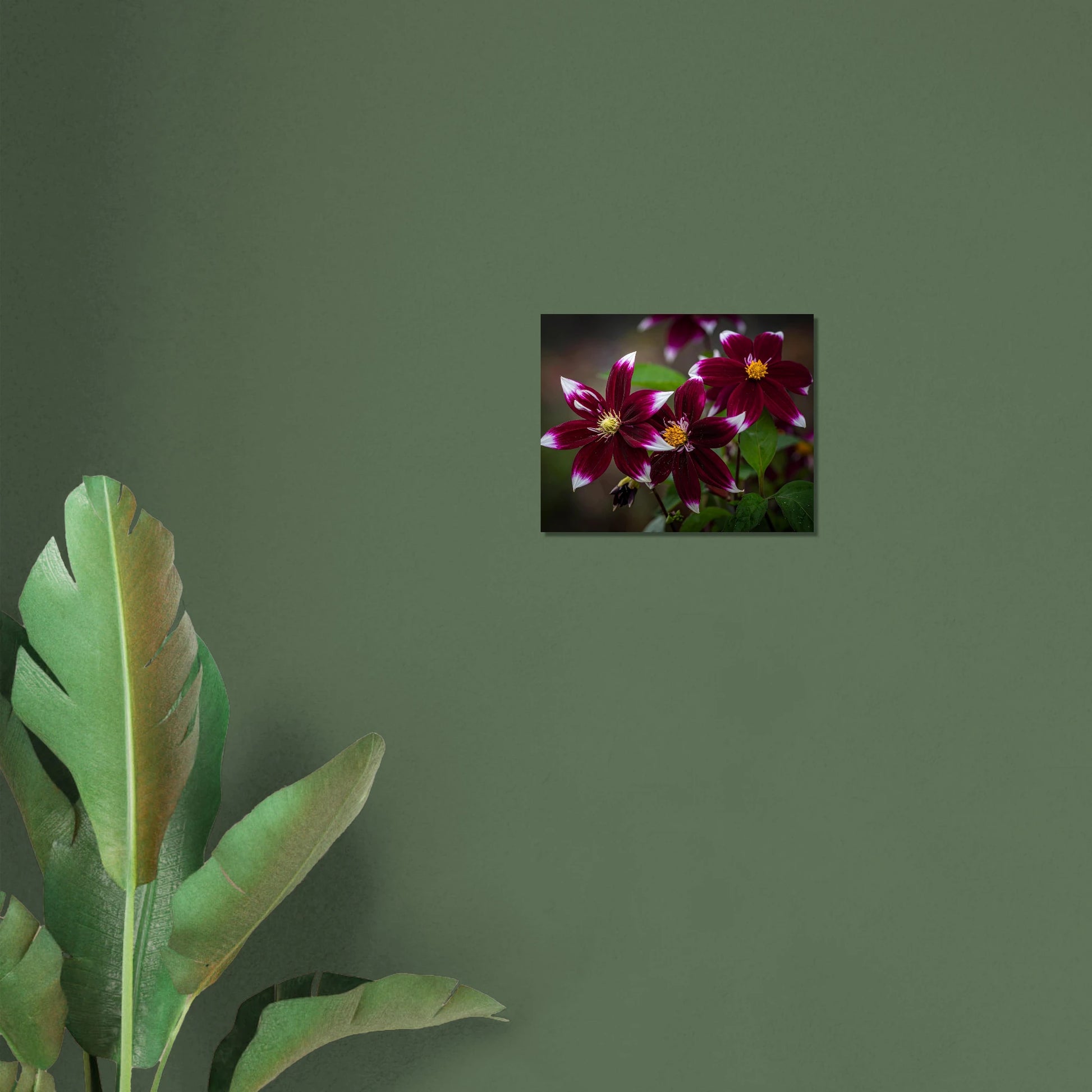 300964a0-6f64-4750-9623-def8a8c1a656