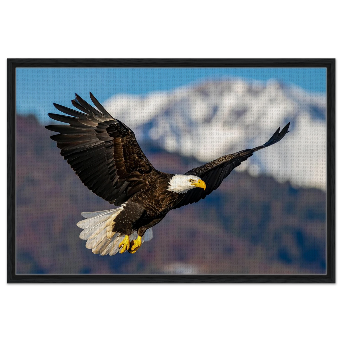 Majestic Soaring Bald Eagle Mountain Wall Art framed canvas in black frame