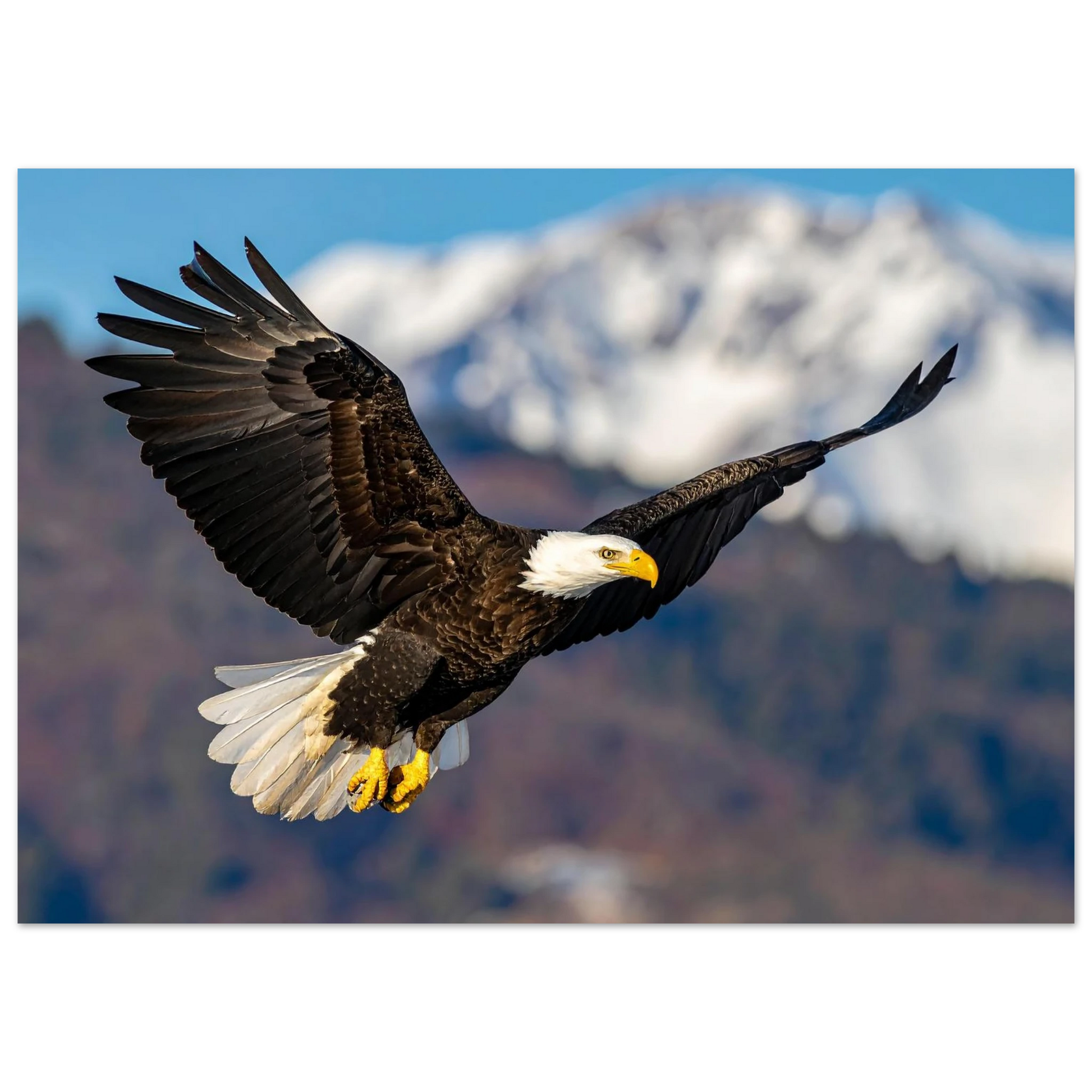 356c7a57-c3ea-49c1-9925-7078f47a9ece