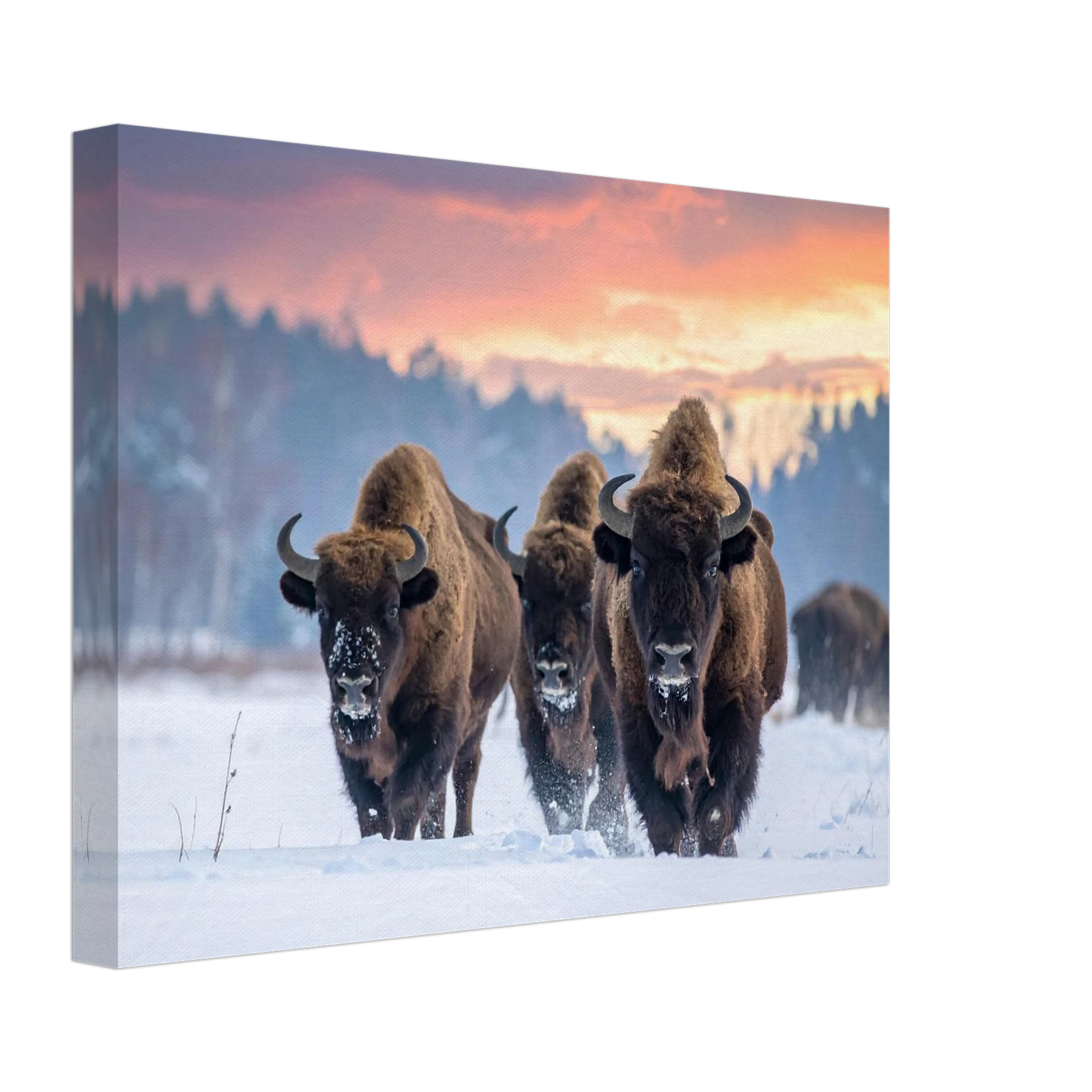 372f360c-91df-4846-9e37-1ab3ecc89e57