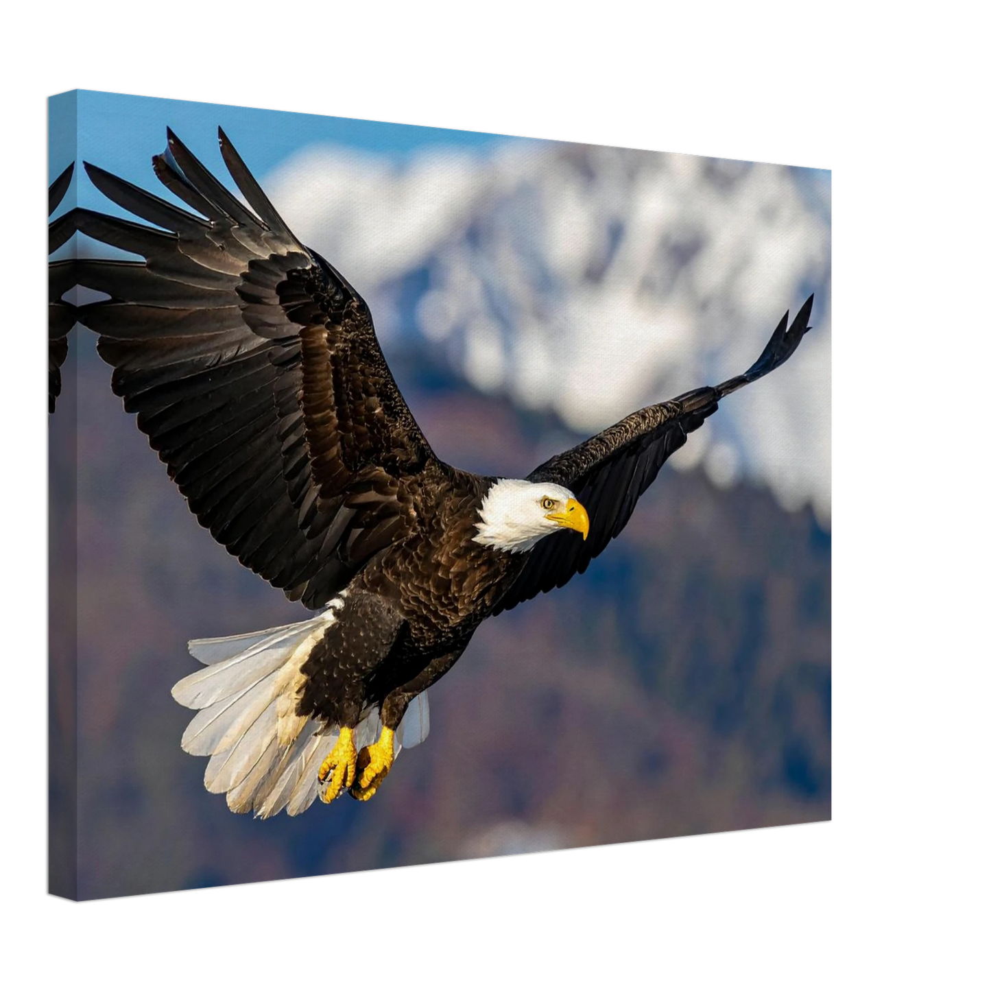 3a605c61-3f79-4890-b098-c14598f255d9