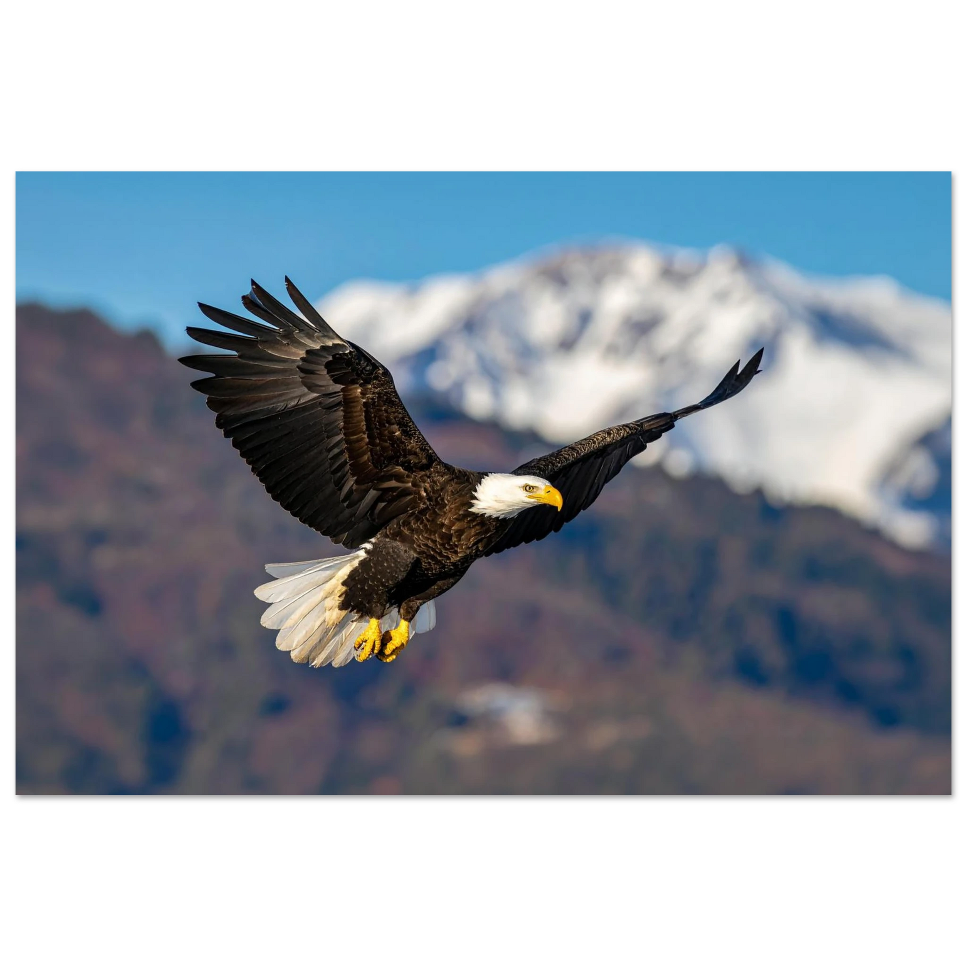 3ae06fe2-e692-4eaa-9431-0e0198ddad46