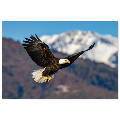3ae06fe2-e692-4eaa-9431-0e0198ddad46