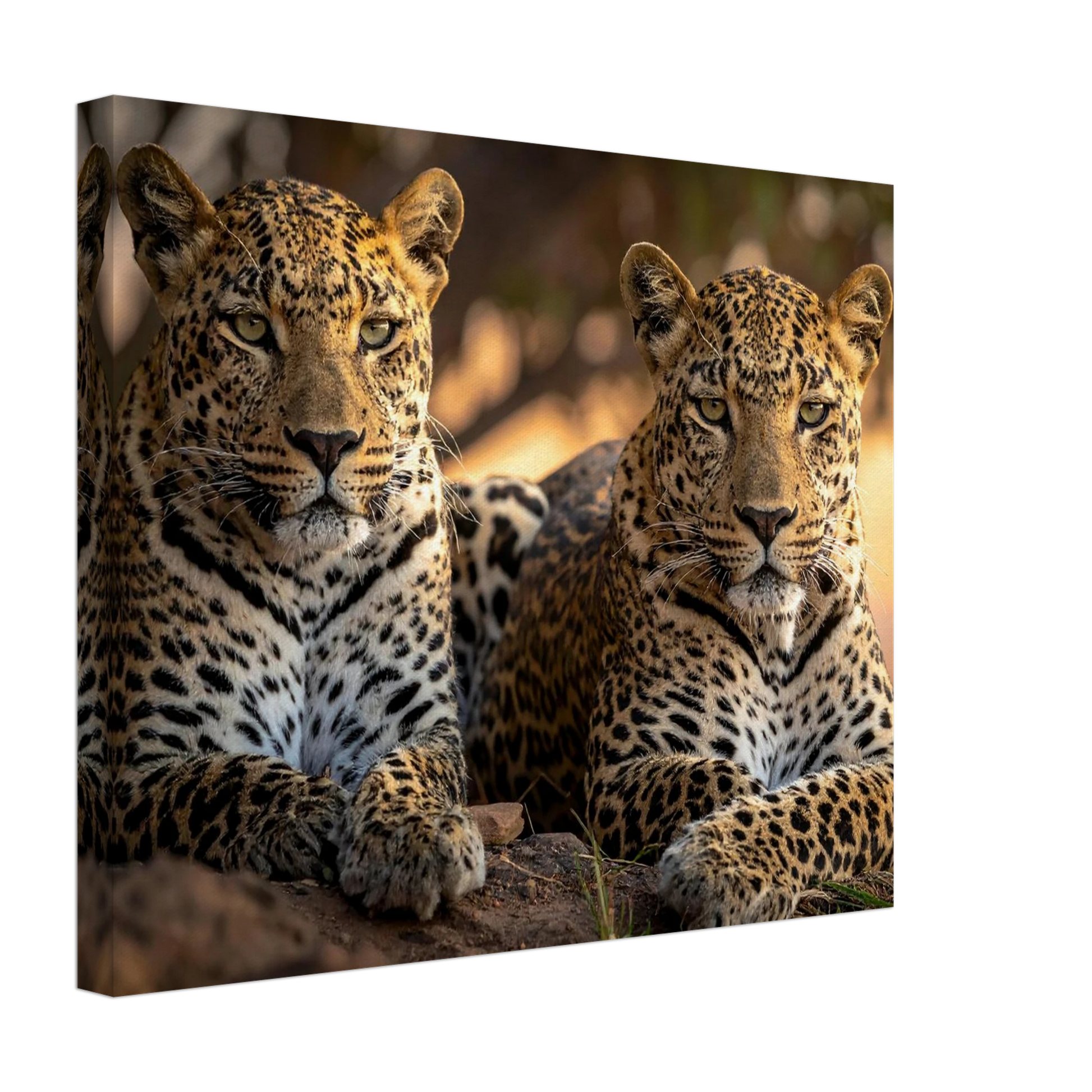 3cf09382-01fa-47eb-b6aa-eaa15acc9f25