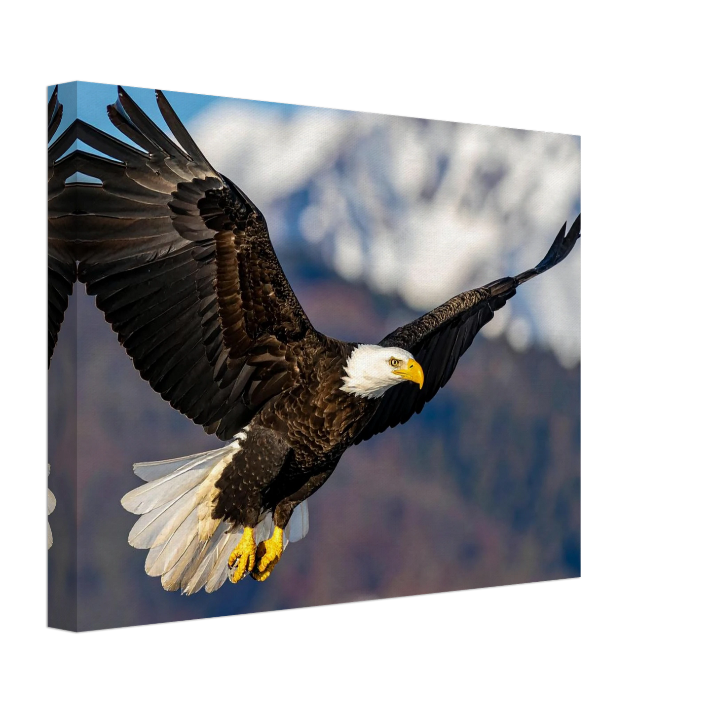 3d8d0e68-dafb-4e4f-87d9-f3fc8460af9f