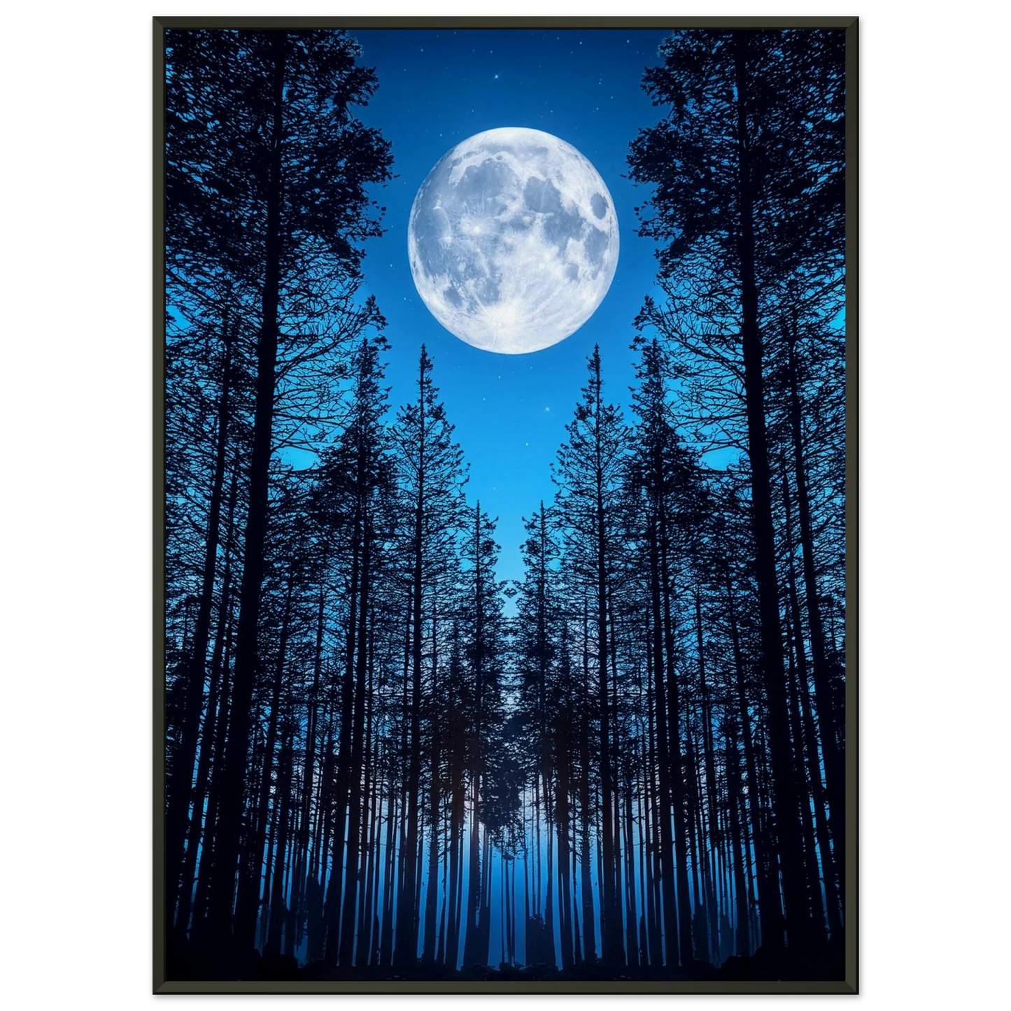 3dd2f557-4ead-457f-8024-76ff73751ea6