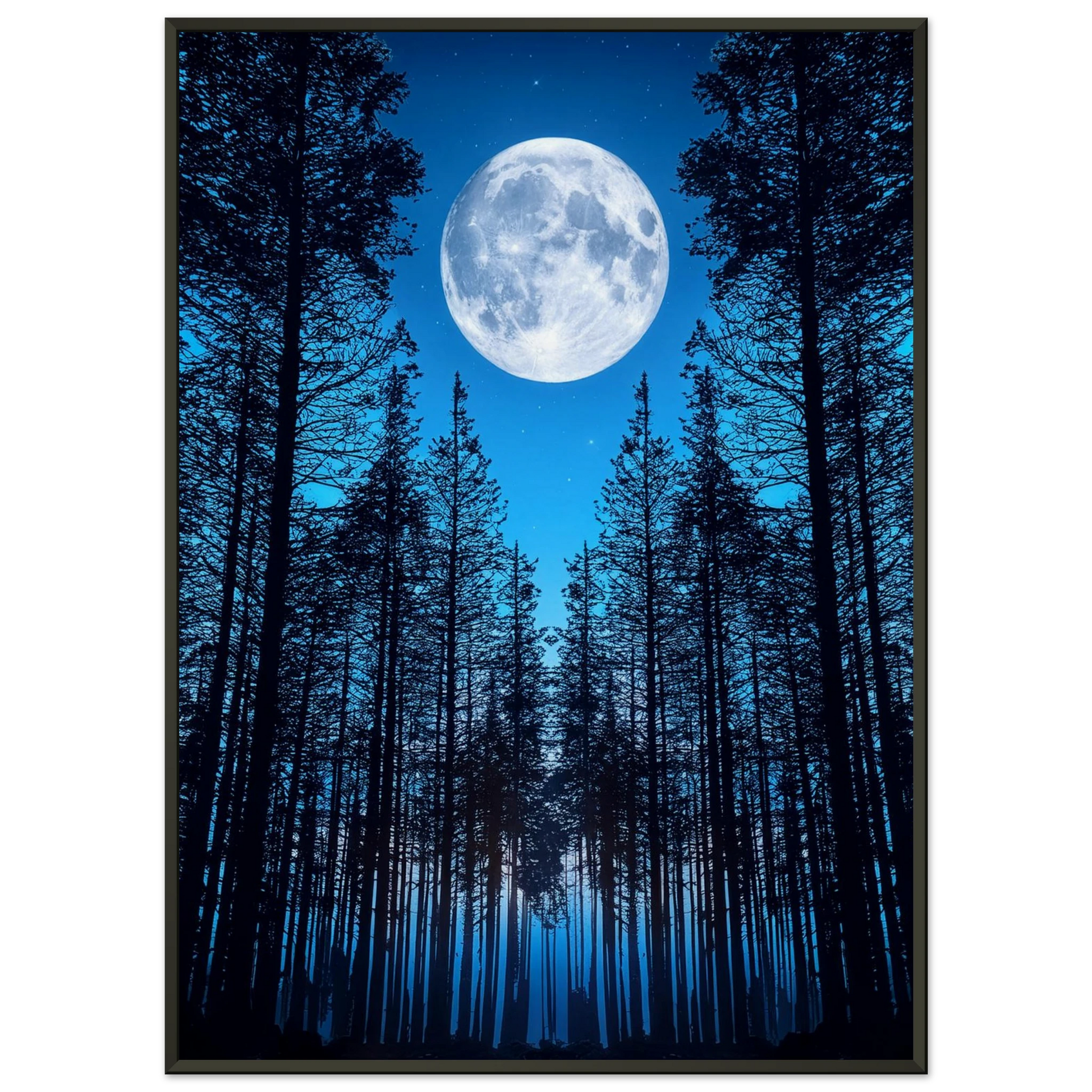 3dd2f557-4ead-457f-8024-76ff73751ea6