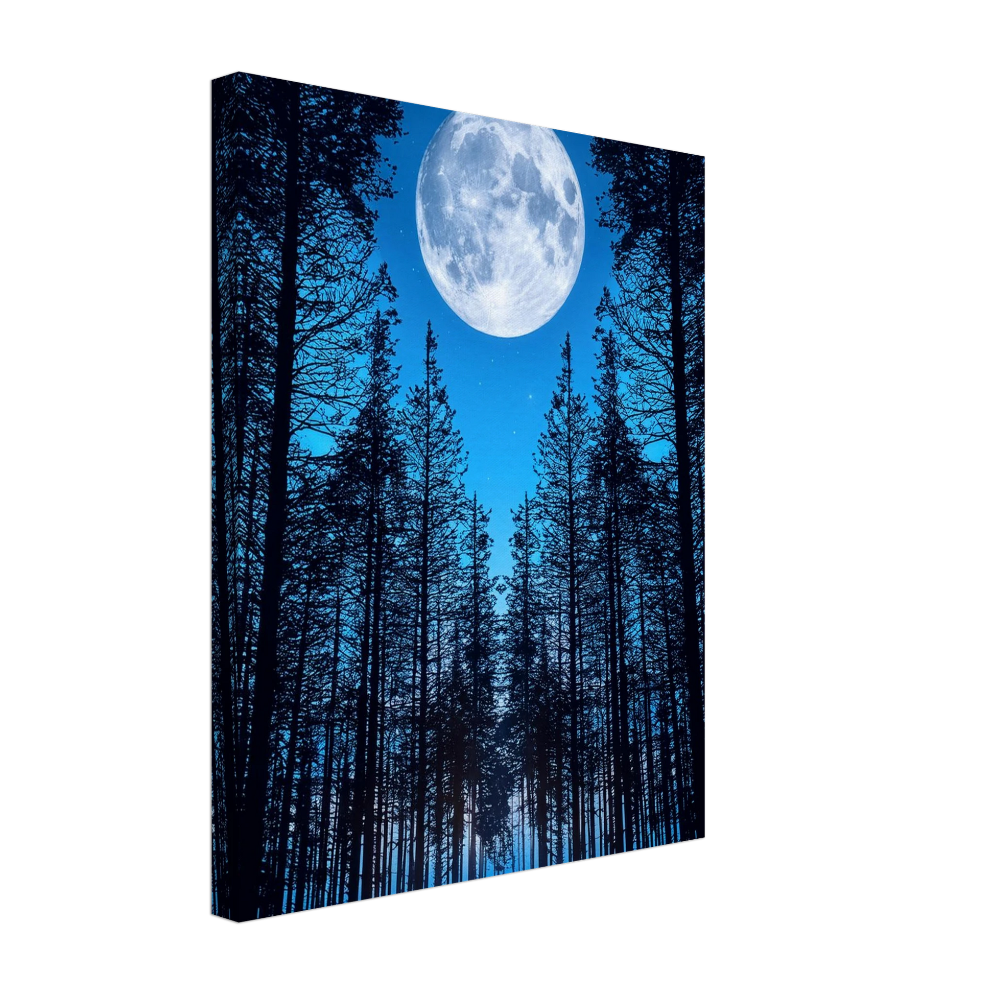 3e3cfaee-bf8e-4ce4-a2c8-74766488b5e6