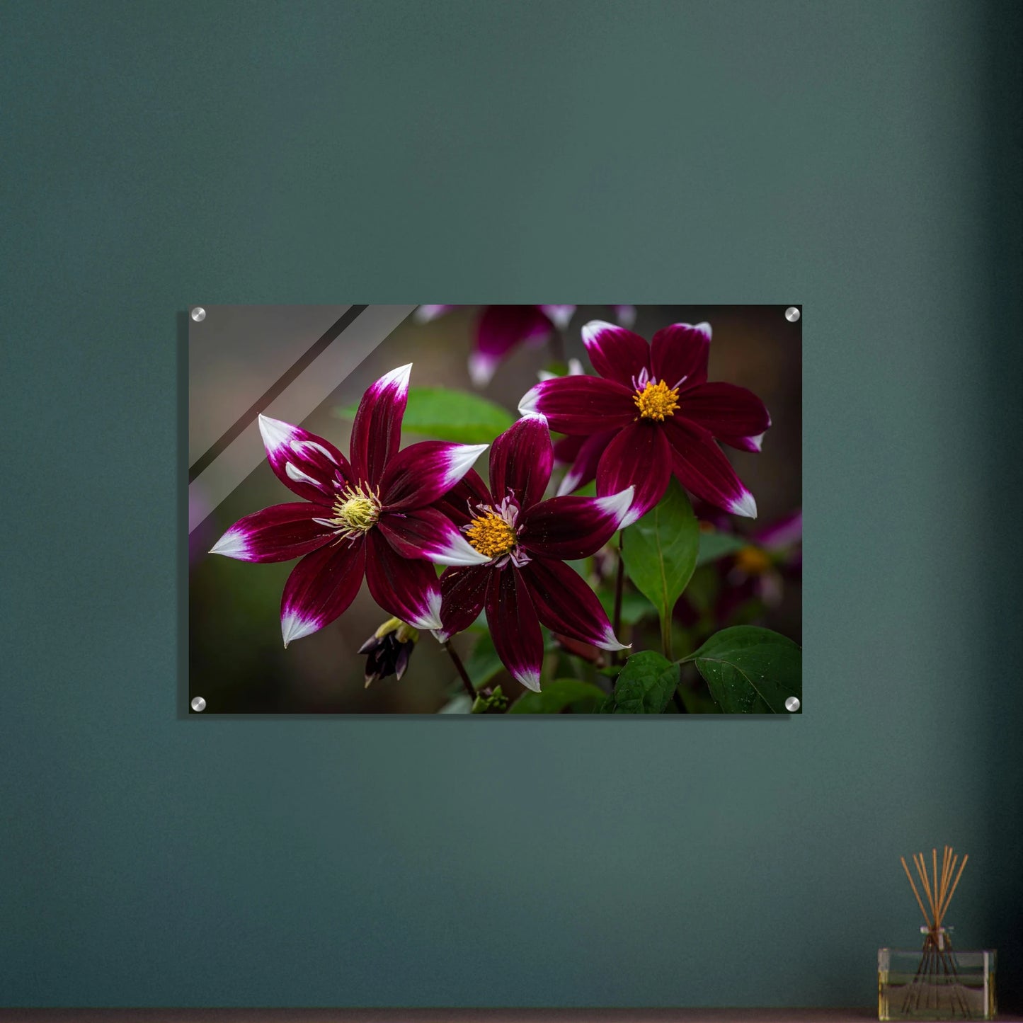 4074882a-ee89-42d9-a6d3-99ccad2fce88