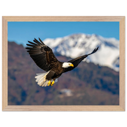 4153cfdf-e77c-43df-b1f3-d13f00d93163