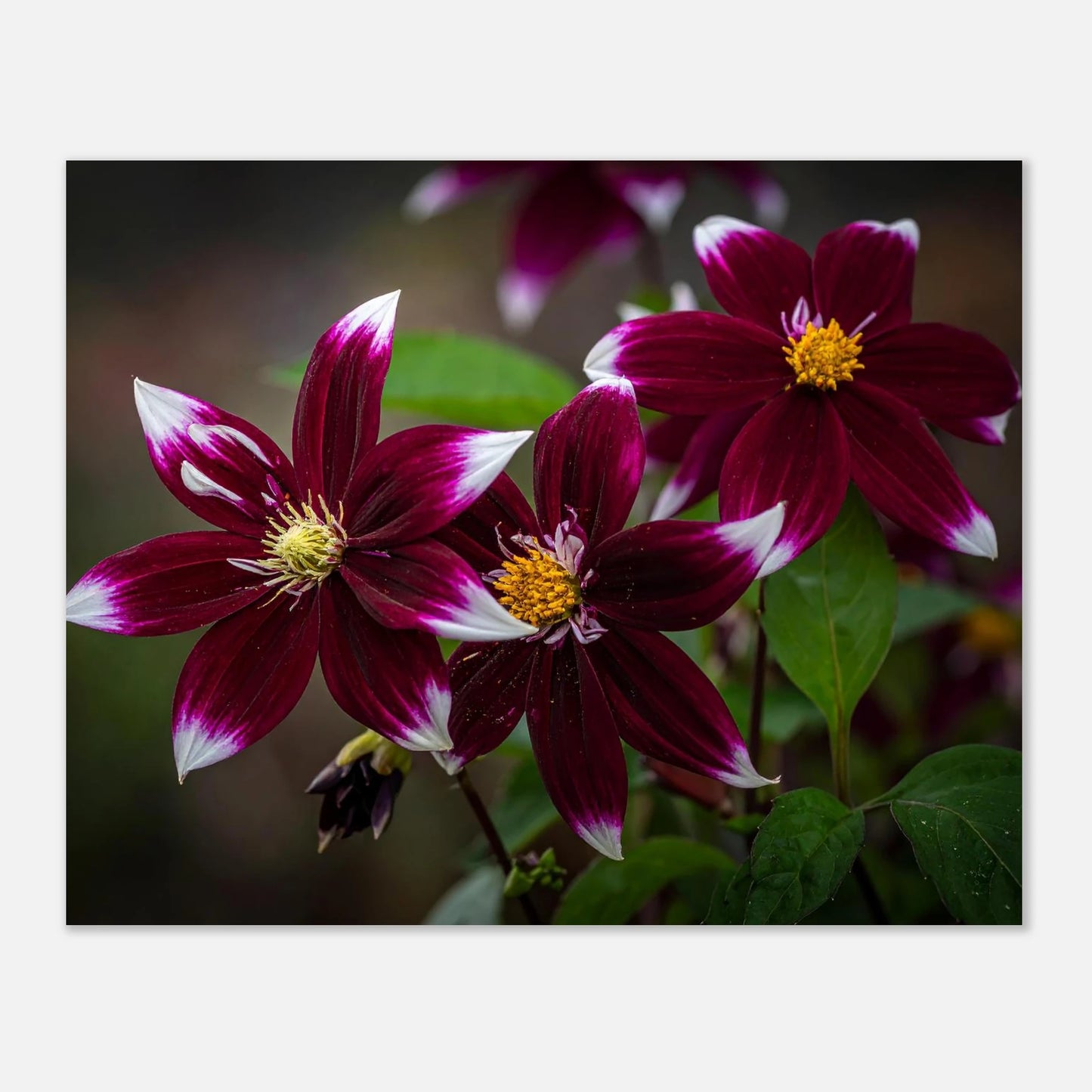 41d6a266-4043-429f-85de-0608107d9c88