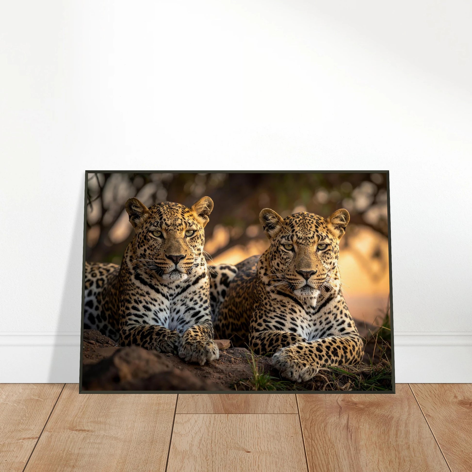 42ce84cf-f162-4723-a3e6-e60015007424