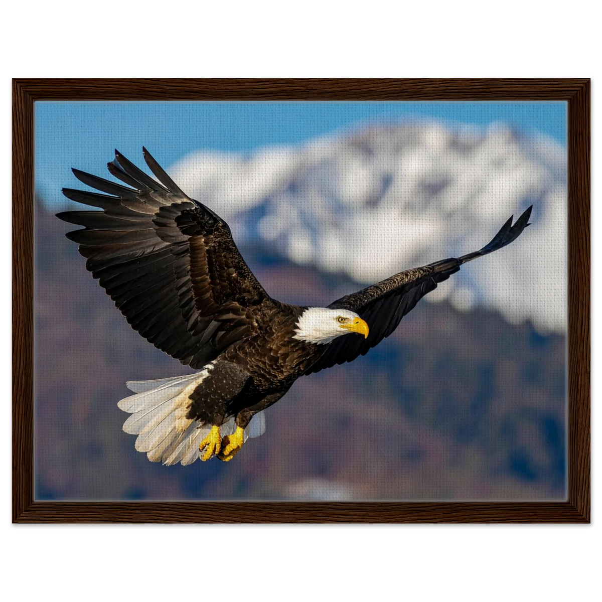 Majestic Soaring Bald Eagle Mountain Wall Art framed canvas in dark wood