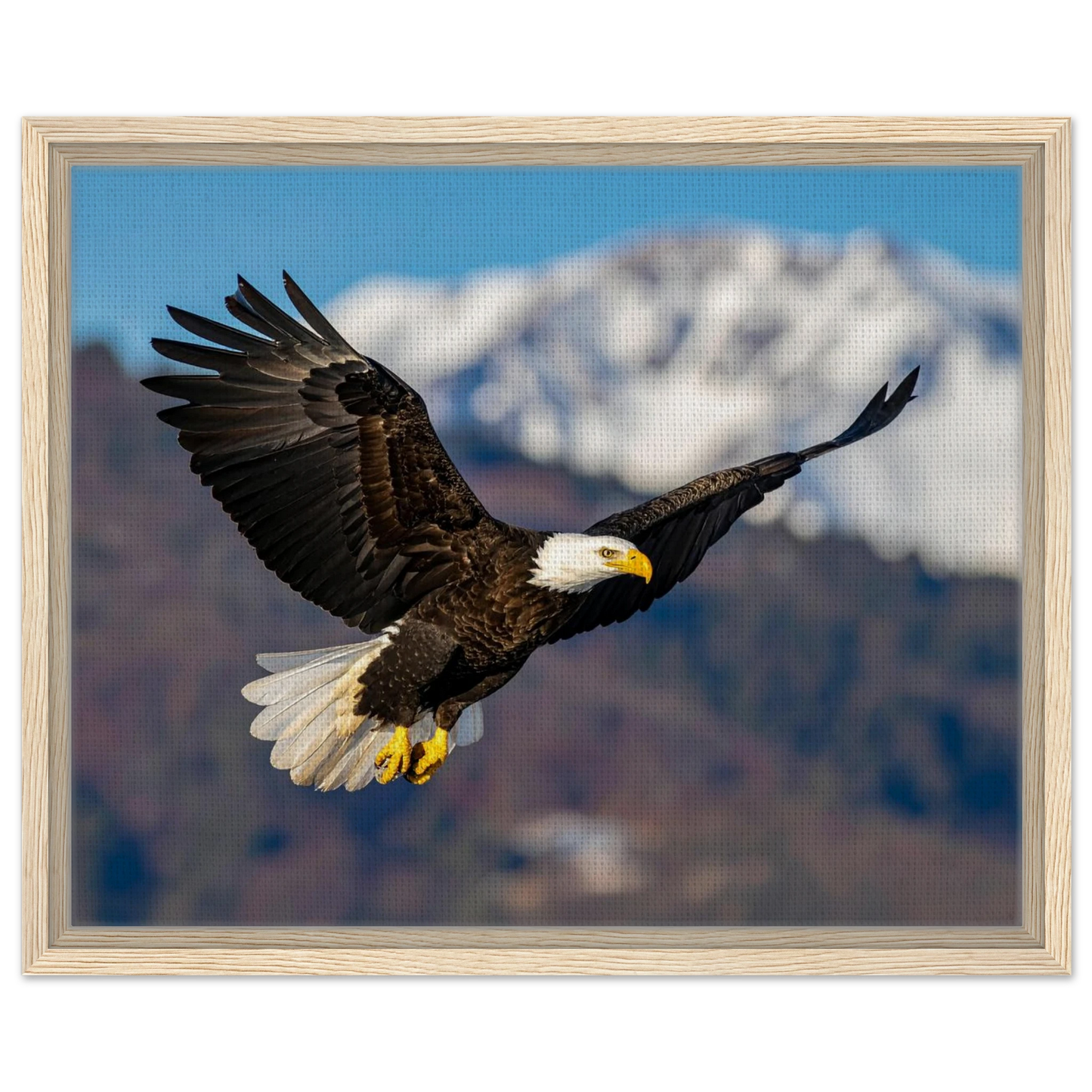 48861f76-a22a-4ce4-9343-0997d1c41c0c